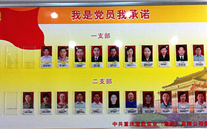 潜能集团党委开展党员承诺活动