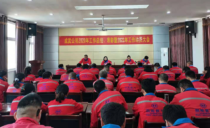 成武公司 成武公司